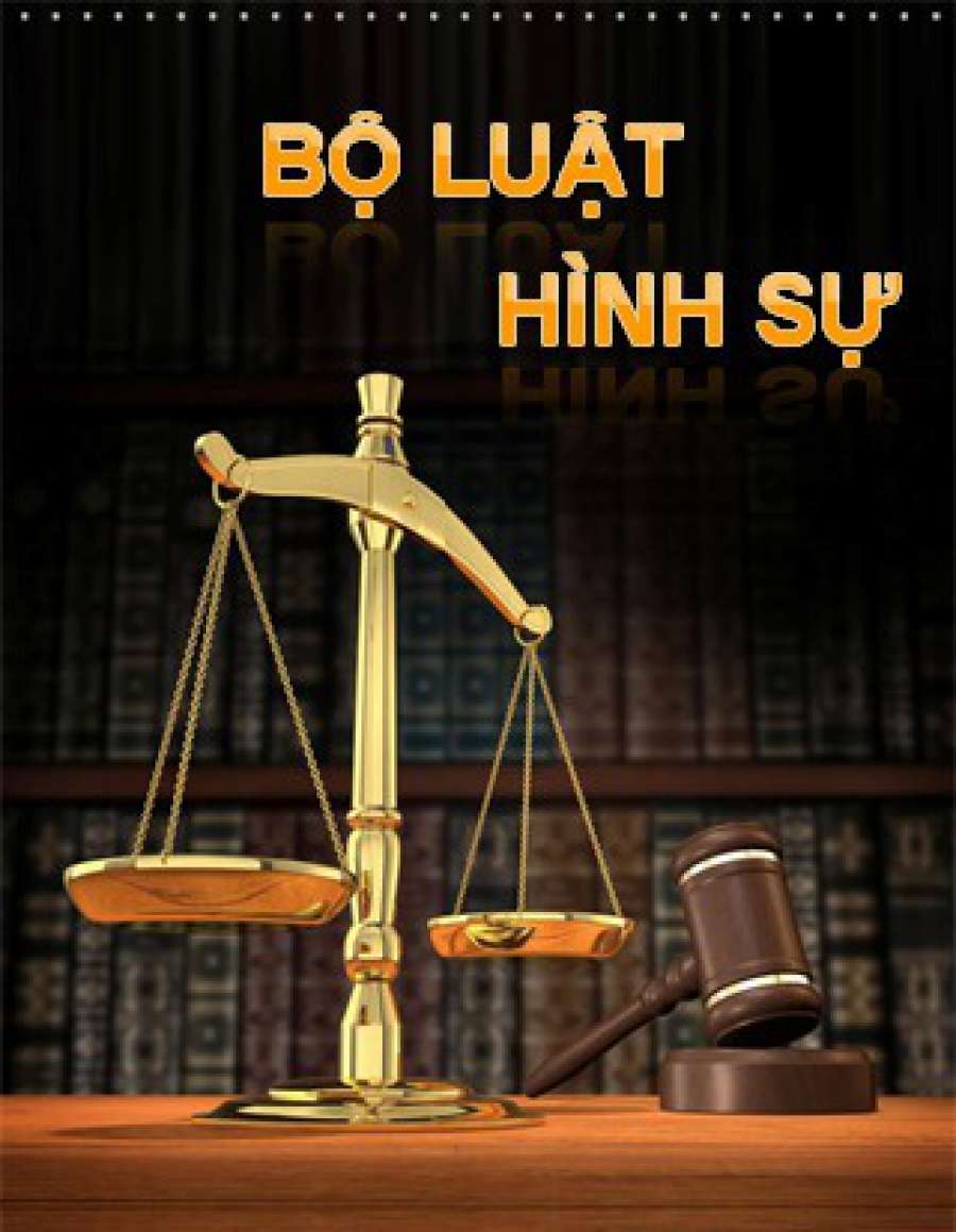 Sự hình thành và phát triển các quy phạm pháp luật hình sự Việt ...